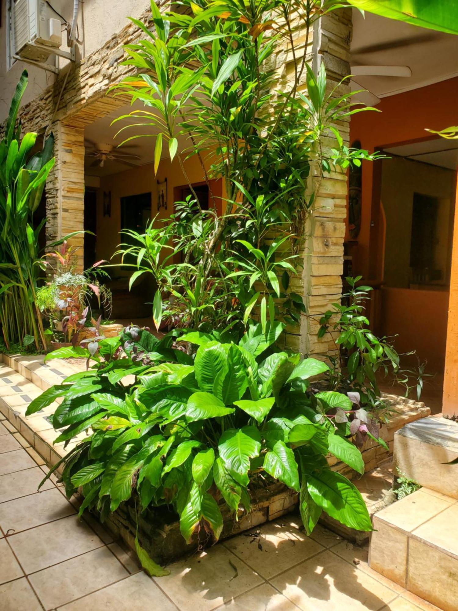 Hotel Villa Prats 마누엘안토니오 외부 사진